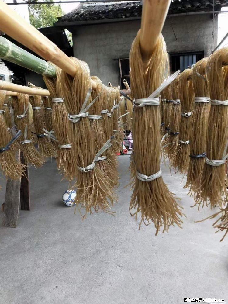 【灌阳正宗红薯粉】美女家里自己做的，干净卫生，假一赔十，价格合理，抢购电话：13737312895 - 美食天地 - 濮阳生活社区 - 濮阳28生活网 puyang.28life.net