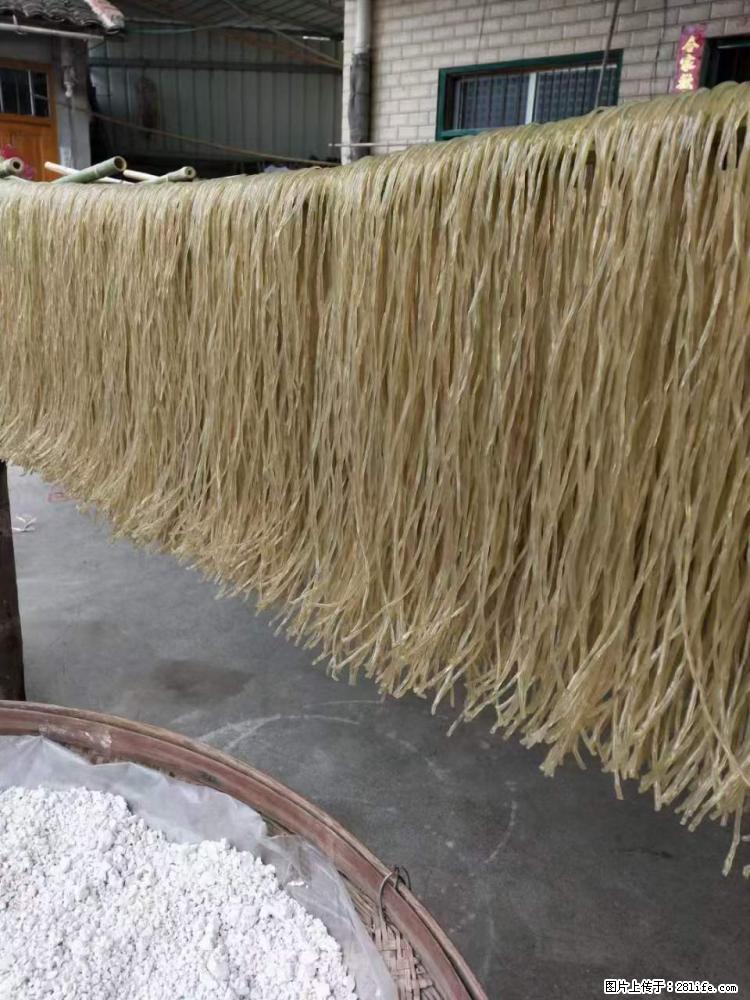 【灌阳正宗红薯粉】美女家里自己做的，干净卫生，假一赔十，价格合理，抢购电话：13737312895 - 美食天地 - 濮阳生活社区 - 濮阳28生活网 puyang.28life.net