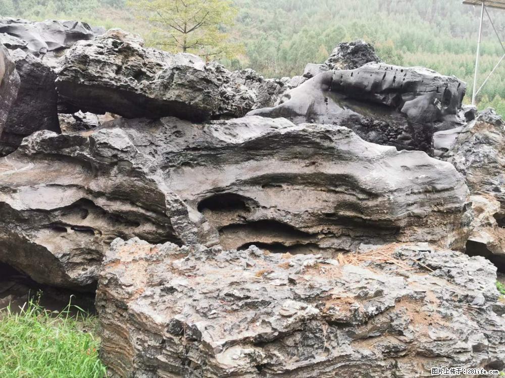 风景石、假山石大量有货，有需要的欢迎联系 - 新手上路 - 濮阳生活社区 - 濮阳28生活网 puyang.28life.net
