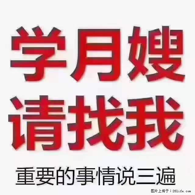 为什么要学习月嫂，育婴师？ - 新手上路 - 濮阳生活社区 - 濮阳28生活网 puyang.28life.net
