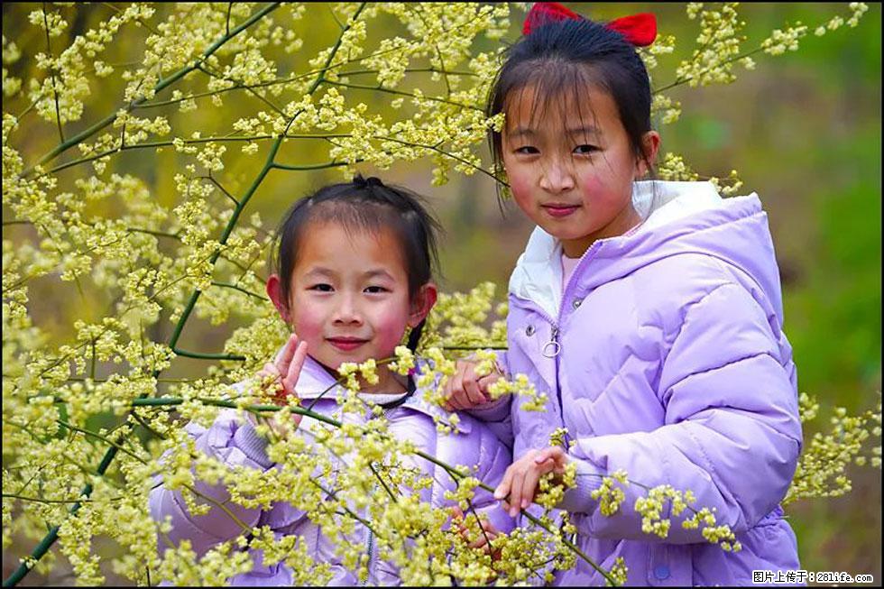 【春天，广西桂林灌阳县向您发出邀请！】米珠山前有片山苍子花在飘香 - 游山玩水 - 濮阳生活社区 - 濮阳28生活网 puyang.28life.net