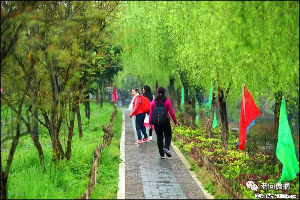 【春天，广西桂林灌阳县向您发出邀请！】江口老街又逢春 - 游山玩水 - 濮阳生活社区 - 濮阳28生活网 puyang.28life.net