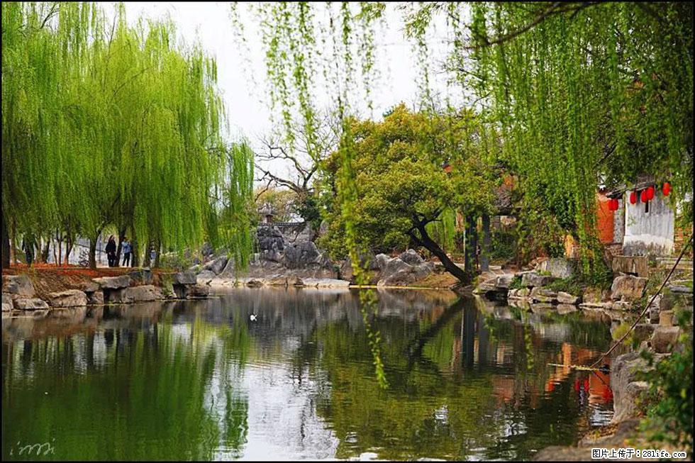 【春天，广西桂林灌阳县向您发出邀请！】江口老街又逢春 - 游山玩水 - 濮阳生活社区 - 濮阳28生活网 puyang.28life.net