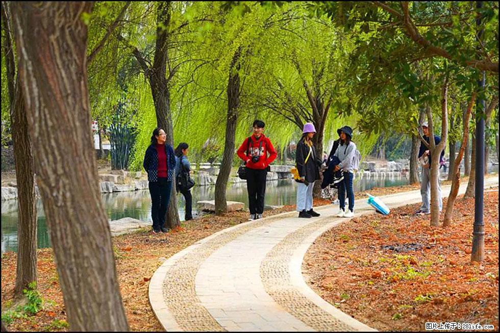 【春天，广西桂林灌阳县向您发出邀请！】江口老街又逢春 - 游山玩水 - 濮阳生活社区 - 濮阳28生活网 puyang.28life.net