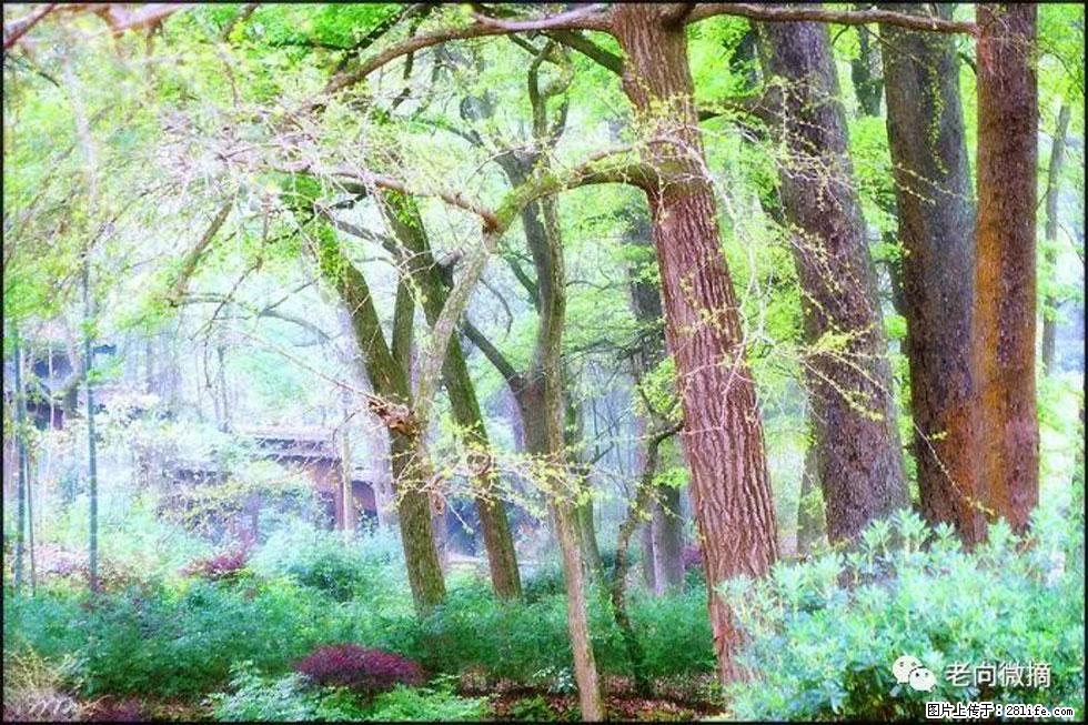 【春天,广西桂林灌阳县向您发出邀请!】在小龙村与春天约会 - 游山玩水 - 濮阳生活社区 - 濮阳28生活网 puyang.28life.net