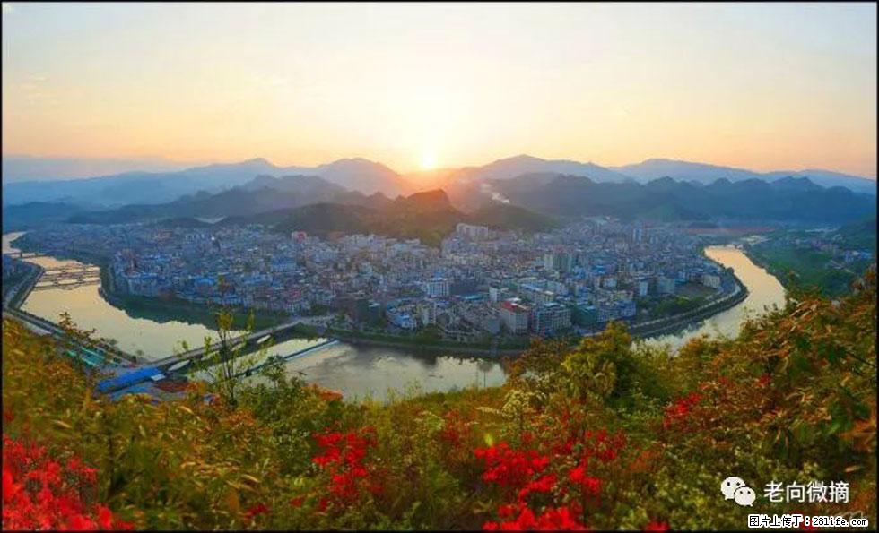 【春天，广西桂林灌阳县向您发出邀请！】登麒麟山，相约映山红 - 游山玩水 - 濮阳生活社区 - 濮阳28生活网 puyang.28life.net