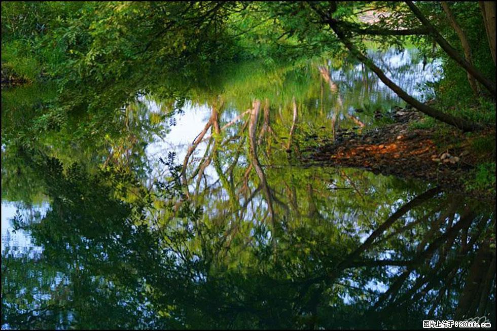 【春天，广西桂林灌阳县向您发出邀请！】熊家寨湿地公园 - 游山玩水 - 濮阳生活社区 - 濮阳28生活网 puyang.28life.net