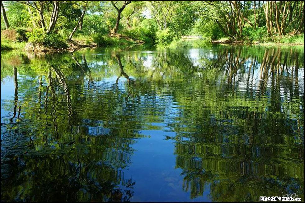 【春天，广西桂林灌阳县向您发出邀请！】熊家寨湿地公园 - 游山玩水 - 濮阳生活社区 - 濮阳28生活网 puyang.28life.net