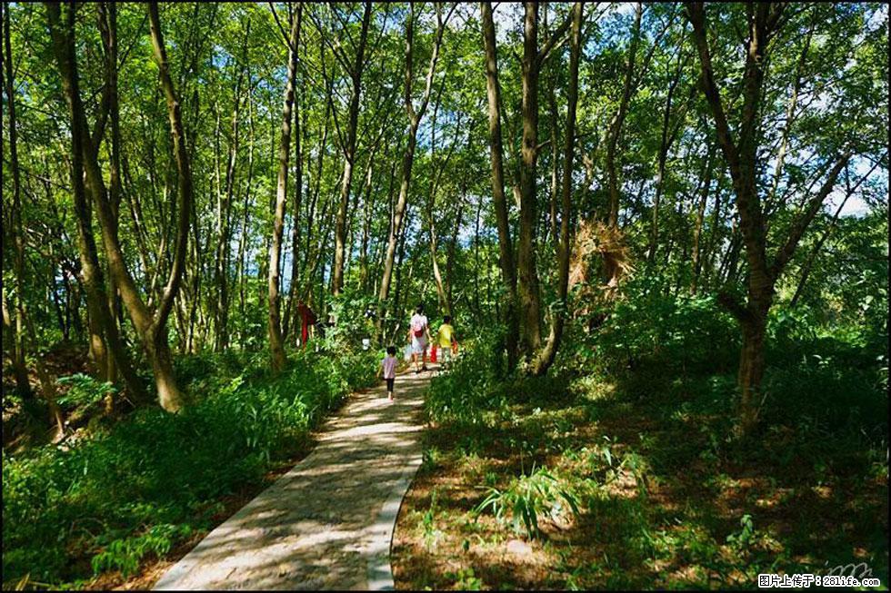【春天，广西桂林灌阳县向您发出邀请！】熊家寨湿地公园 - 游山玩水 - 濮阳生活社区 - 濮阳28生活网 puyang.28life.net