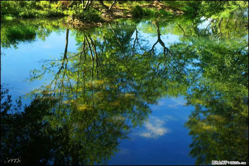 【春天，广西桂林灌阳县向您发出邀请！】熊家寨湿地公园 - 游山玩水 - 濮阳生活社区 - 濮阳28生活网 puyang.28life.net