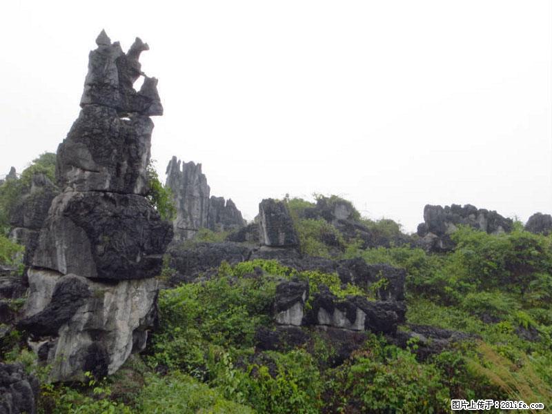 桂林旅游名城景点：灌阳文市石林 - 游山玩水 - 濮阳生活社区 - 濮阳28生活网 puyang.28life.net
