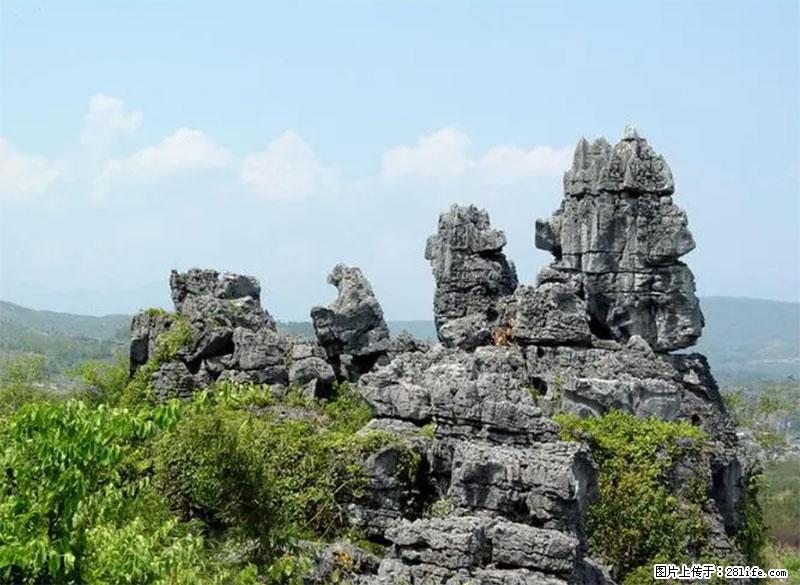 桂林旅游名城景点：灌阳文市石林 - 游山玩水 - 濮阳生活社区 - 濮阳28生活网 puyang.28life.net