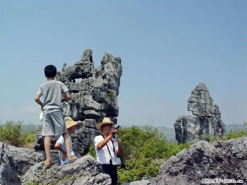 桂林旅游名城景点：灌阳文市石林 - 游山玩水 - 濮阳生活社区 - 濮阳28生活网 puyang.28life.net