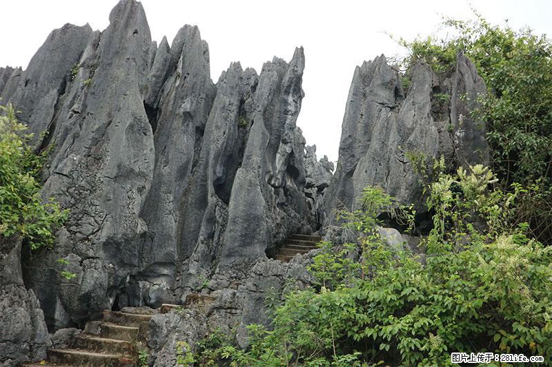 桂林旅游名城景点：灌阳文市石林 - 游山玩水 - 濮阳生活社区 - 濮阳28生活网 puyang.28life.net
