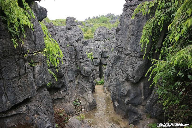 桂林旅游名城景点：灌阳文市石林 - 游山玩水 - 濮阳生活社区 - 濮阳28生活网 puyang.28life.net