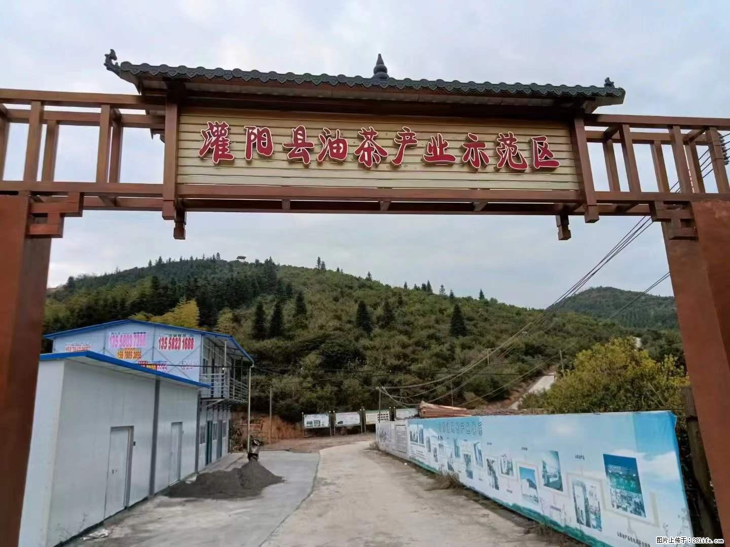 【灌阳县油茶产业示范区】一个有着充实的精神生活的人，对待身外之物自会有一种淡泊的态度 - 美食天地 - 濮阳生活社区 - 濮阳28生活网 puyang.28life.net
