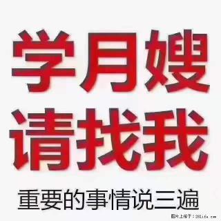 为什么要学习月嫂，育婴师？ - 濮阳28生活网 puyang.28life.net