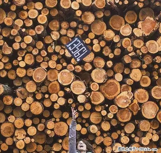 辞掉工作周游世界？现在他们在洗厕所…… - 游山玩水 - 濮阳生活社区 - 濮阳28生活网 puyang.28life.net
