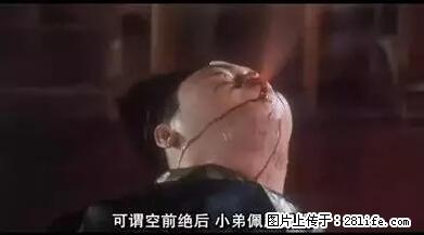 笑癫了！一女的怀孕三年未生，他终于忍不住了... - 娱乐八卦 - 濮阳生活社区 - 濮阳28生活网 puyang.28life.net