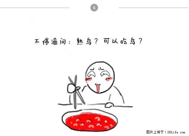 千万不要和这9种哈卵一起吃火锅！ - 美食天地 - 濮阳生活社区 - 濮阳28生活网 puyang.28life.net