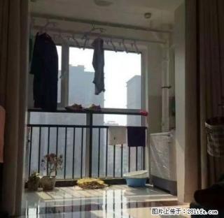 华龙城中央 2室1厅80平米 精装修 年付 - 濮阳28生活网 puyang.28life.net