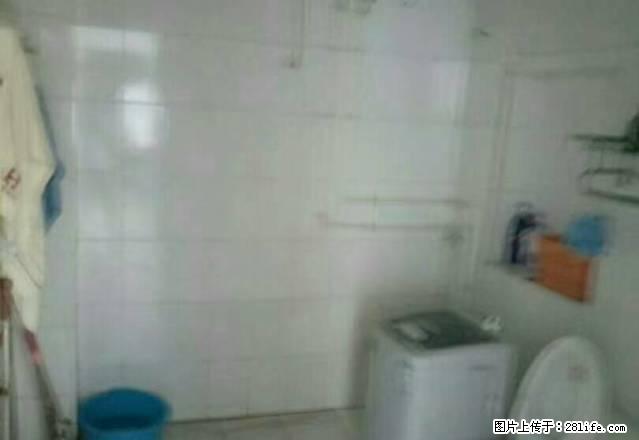 四季果岭，一室一厅，1000元， - 房屋出租 - 房屋租售 - 濮阳分类信息 - 濮阳28生活网 puyang.28life.net