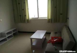 四季花城两室一厅精装修诚心初次出租可全新入住 - 濮阳28生活网 puyang.28life.net