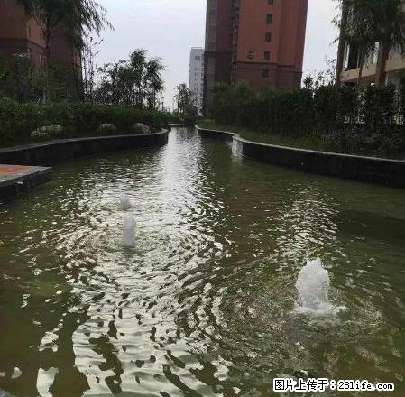 龙湖花苑三室一厅拎包入住 看房方便、有钥匙 - 房屋出租 - 房屋租售 - 濮阳分类信息 - 濮阳28生活网 puyang.28life.net