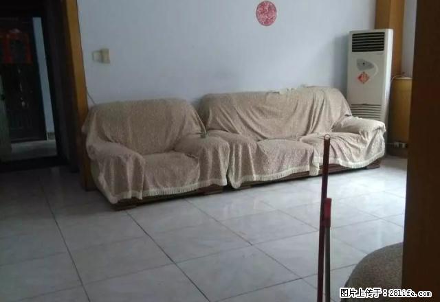 出租，一楼，三室两厅，南北通透，油田五中，子路学校，一实小。 - 房屋出租 - 房屋租售 - 濮阳分类信息 - 濮阳28生活网 puyang.28life.net