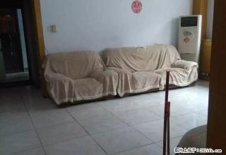 出租，一楼，三室两厅，南北通透，油田五中，子路学校，一实小。 - 濮阳28生活网 puyang.28life.net