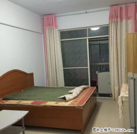 精致单身公寓，家具家电齐全，拎包入住。 - 房屋出租 - 房屋租售 - 濮阳分类信息 - 濮阳28生活网 puyang.28life.net