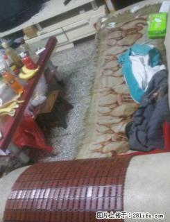 热电厂家属院4楼2室出租一年九千 - 濮阳28生活网 puyang.28life.net
