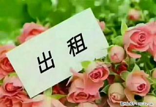 小户型 精装修 拎包入住 适合年轻人居住 - 濮阳28生活网 puyang.28life.net