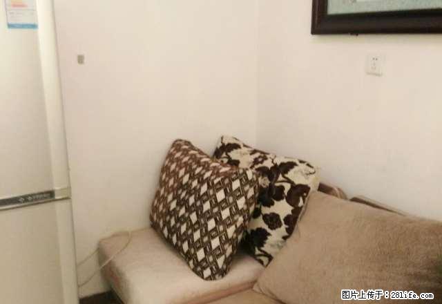 出租东方花园二期 拎包入住 两室一厅 月租1000 随时看房 - 房屋出租 - 房屋租售 - 濮阳分类信息 - 濮阳28生活网 puyang.28life.net