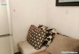 出租东方花园二期 拎包入住 两室一厅 月租1000 随时看房 - 濮阳28生活网 puyang.28life.net