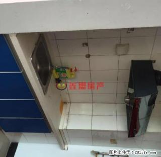精装修，领包入住小户型，朝阳南户，长租优/惠 - 濮阳28生活网 puyang.28life.net