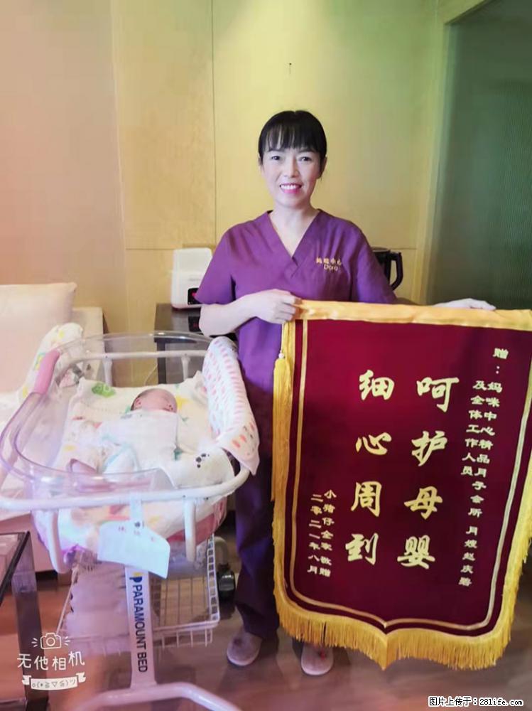 上海高端月子会所招新手月嫂，零基础带教，包吃住 - 职场交流 - 濮阳生活社区 - 濮阳28生活网 puyang.28life.net