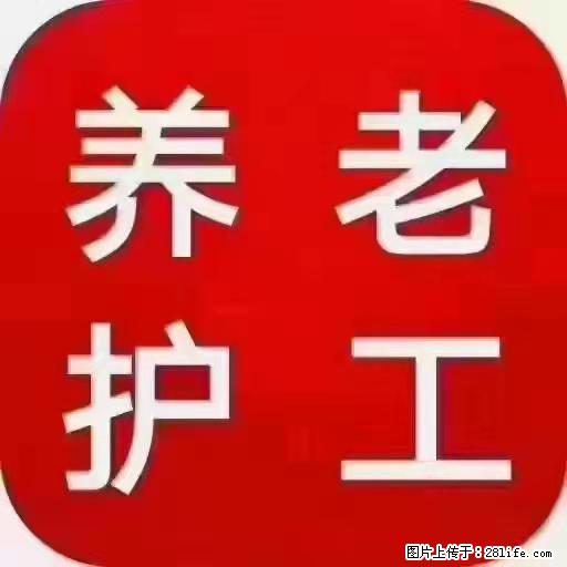 上海国企养老院，星级酒店环境，招聘养老护工 - 职场交流 - 濮阳生活社区 - 濮阳28生活网 puyang.28life.net