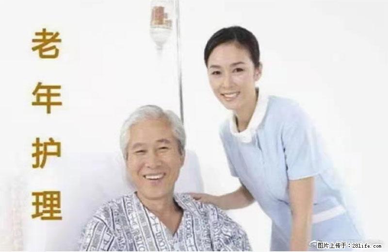 上海国企养老院，星级酒店环境，招聘养老护工 - 职场交流 - 濮阳生活社区 - 濮阳28生活网 puyang.28life.net
