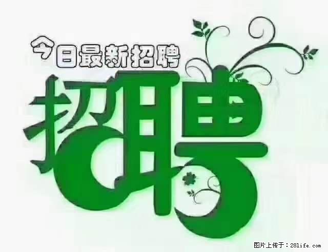【招聘】产康师 - 职场交流 - 濮阳生活社区 - 濮阳28生活网 puyang.28life.net