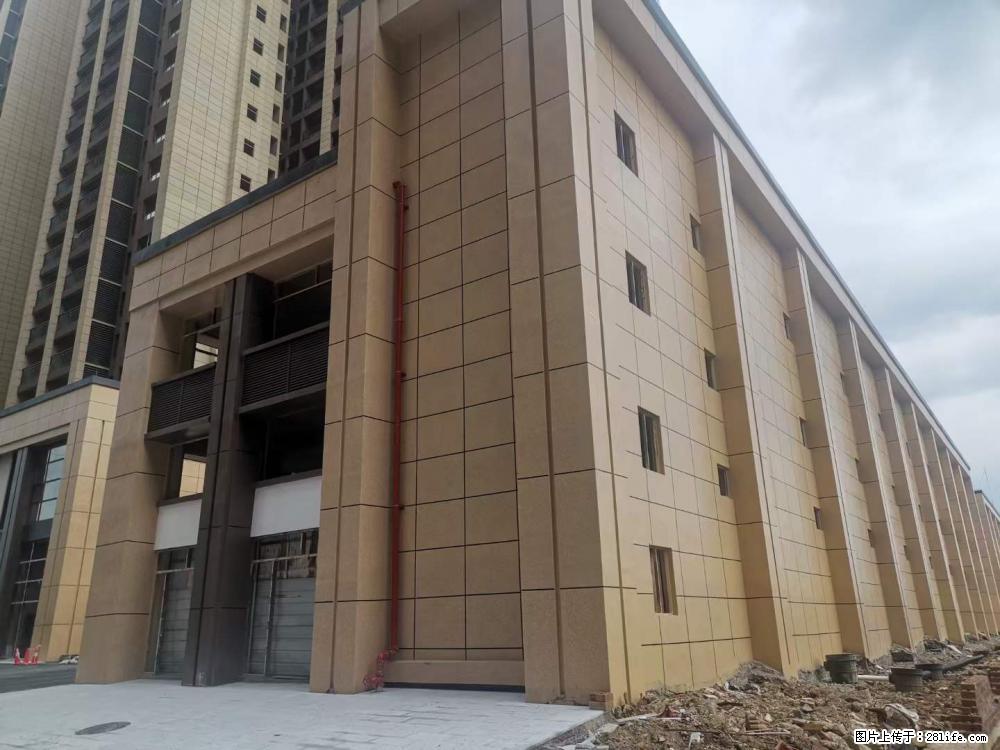 【广西三象建筑安装工程有限公司】外墙涂料工程 - 新手上路 - 濮阳生活社区 - 濮阳28生活网 puyang.28life.net