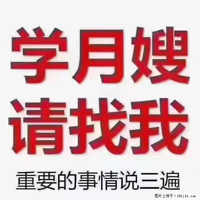 【招聘】月嫂，上海徐汇区 - 职场交流 - 濮阳生活社区 - 濮阳28生活网 puyang.28life.net
