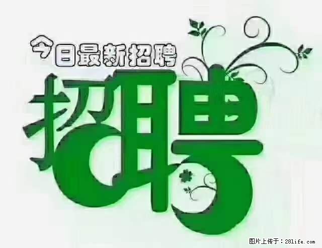 上海隔离酒店招人：55岁以下 男女不限 - 职场交流 - 濮阳生活社区 - 濮阳28生活网 puyang.28life.net