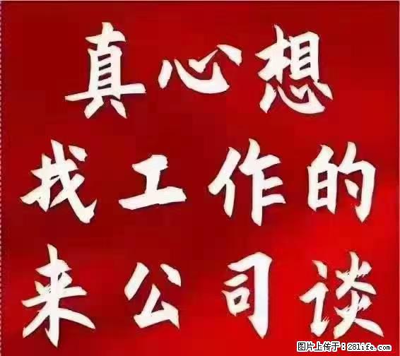 【上海】国企，医院招两名男保安，55岁以下，身高1.7米以上，无犯罪记录不良嗜好 - 职场交流 - 濮阳生活社区 - 濮阳28生活网 puyang.28life.net