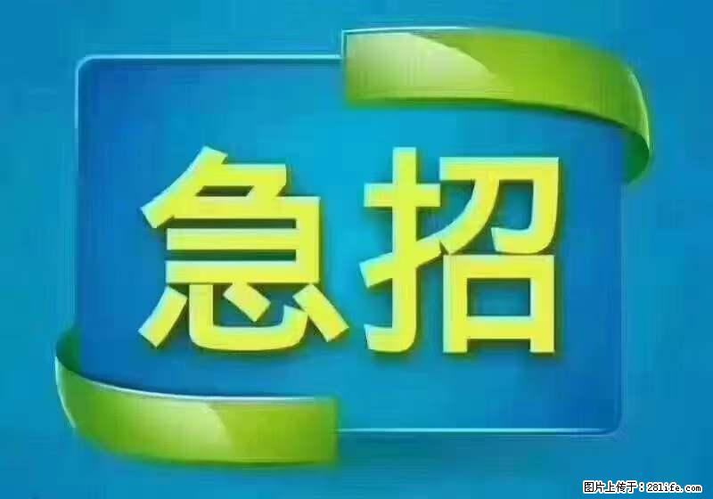 招财务,有会计证的,熟手会计1.1万底薪,上海五险一金,包住,包工作餐,做六休一 - 职场交流 - 濮阳生活社区 - 濮阳28生活网 puyang.28life.net