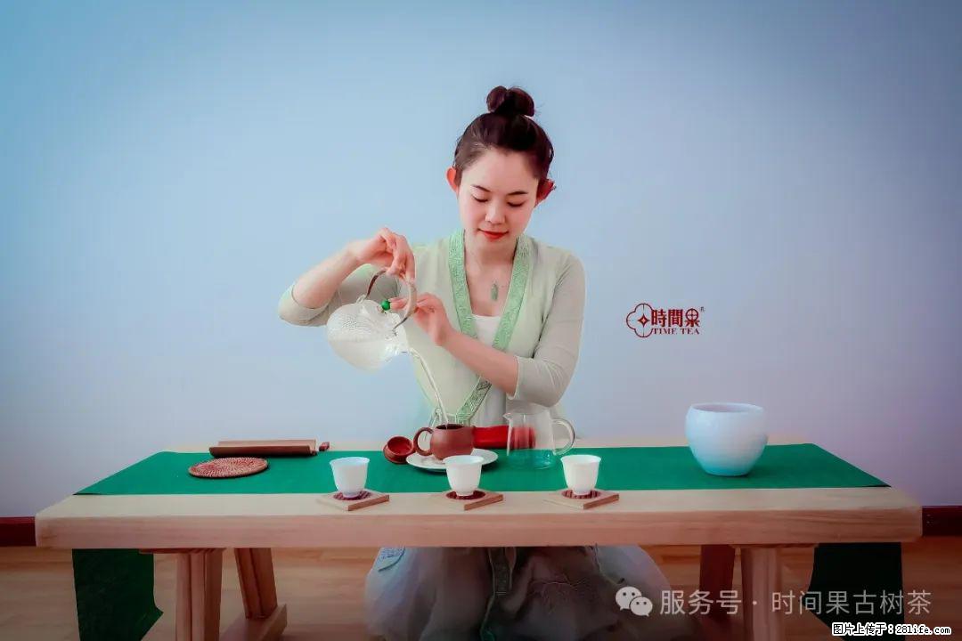 时间果百年古树龙珠普洱生茶 - 购物交流 - 濮阳生活社区 - 濮阳28生活网 puyang.28life.net