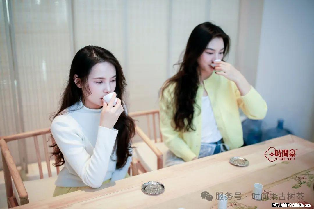 时间果百年古树龙珠普洱生茶 - 购物交流 - 濮阳生活社区 - 濮阳28生活网 puyang.28life.net