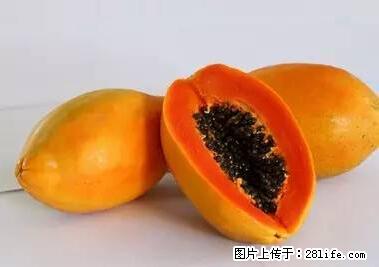 晕车、脚气、牙齿变黄、皮肤粗糙？学会这些三分钟搞定！ - 濮阳生活资讯 - 濮阳28生活网 puyang.28life.net