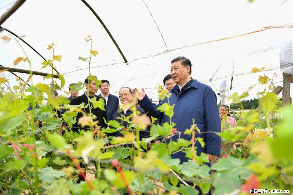 习近平赴广西考察调研 - 濮阳生活资讯 - 濮阳28生活网 puyang.28life.net