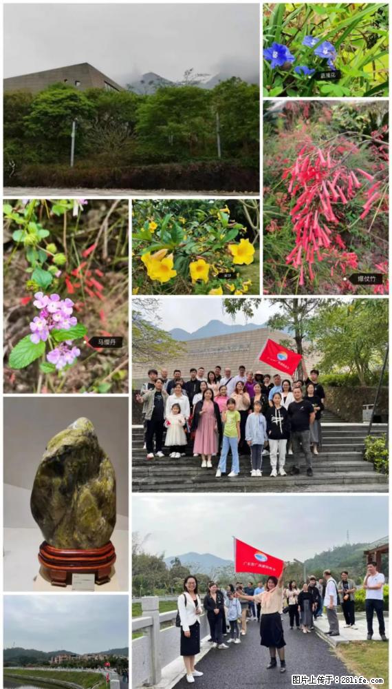 “粤灌文化 美好生活”油茶文化主题活动在广东深圳成功举办 - 濮阳生活资讯 - 濮阳28生活网 puyang.28life.net